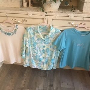 3 Piece Matched Alia Alison Daley Set in Petite Large/Large